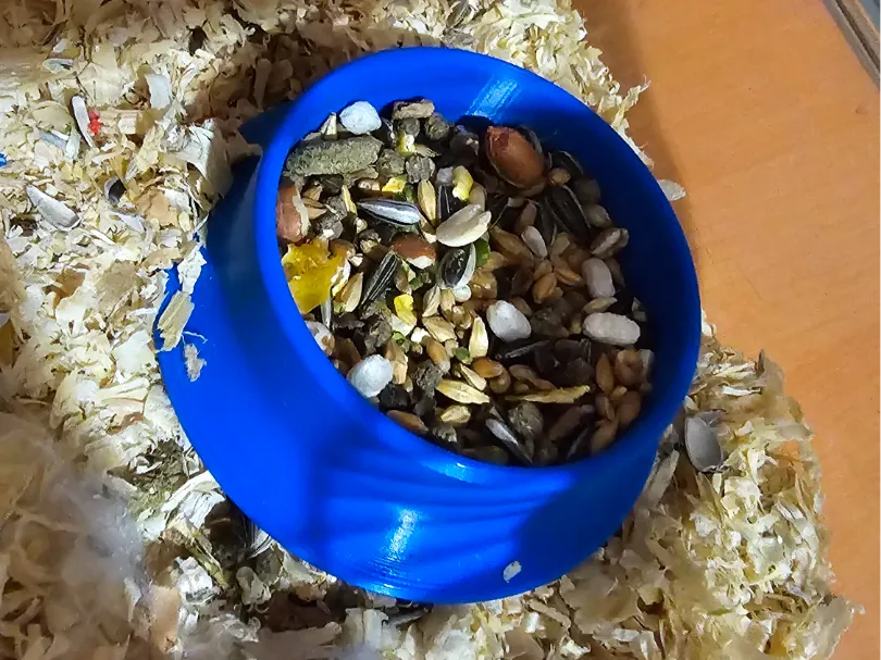 Hamster Bowl, photo 3 of 4 - Hamster Bowl Pets