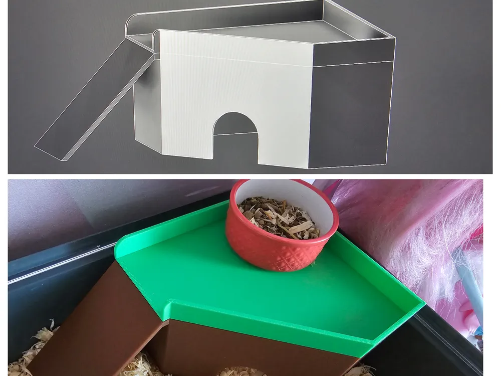 Hamster house