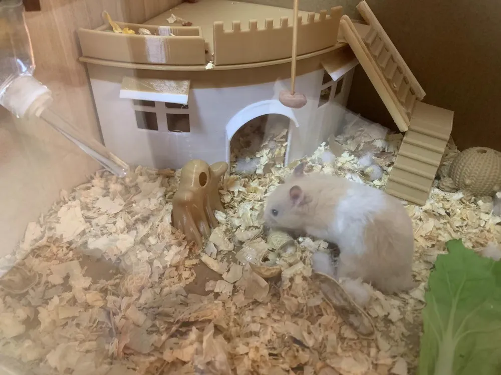 仓鼠屋 家 城堡 有粮食盆 楼梯等 Hamster House(150mmX150mm)