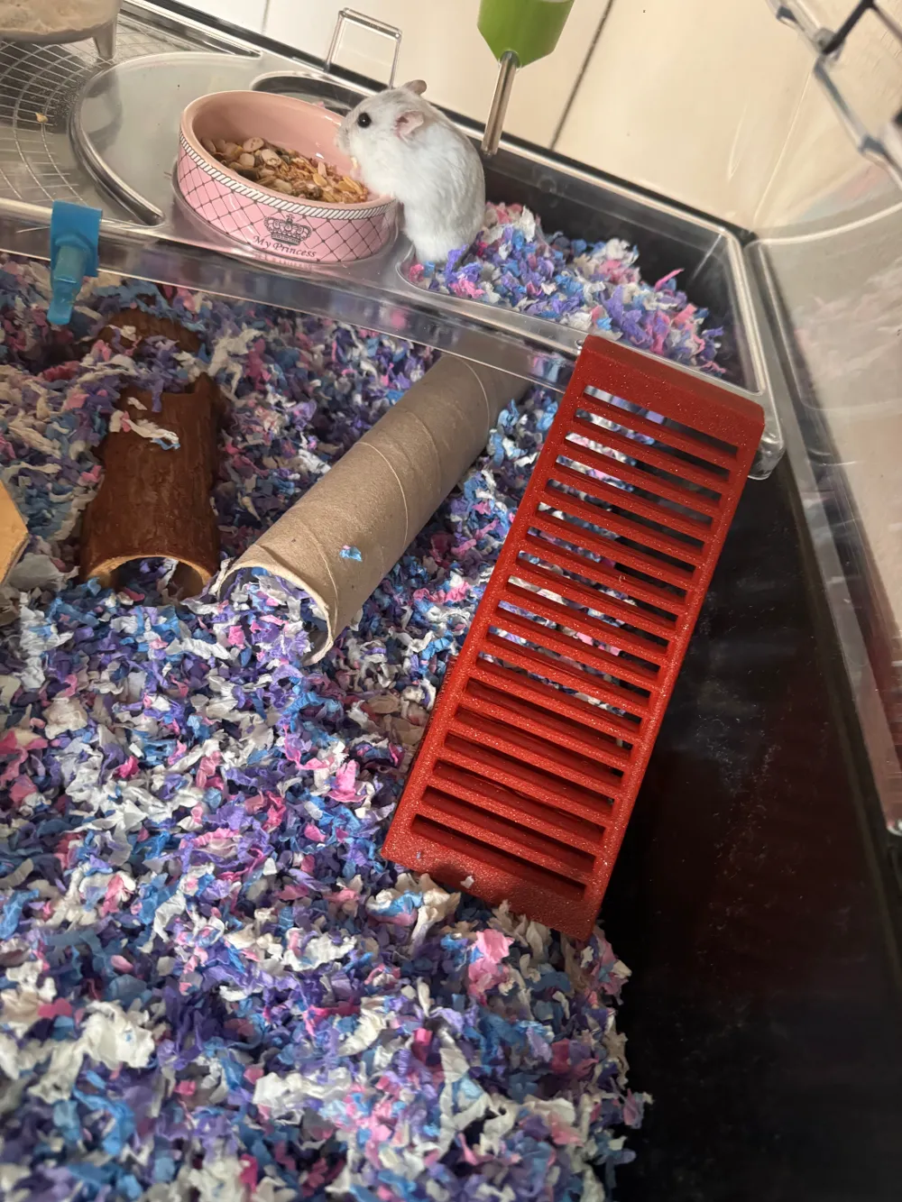 Hamster ladder, photo 4 of 4 - Hamster ladder Pets