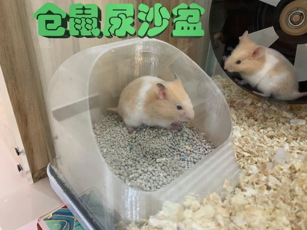 仓鼠尿沙、浴沙屋 Hamster House