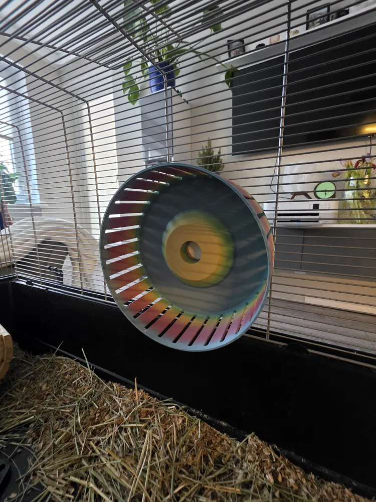 Hamster Wheel, photo 2 of 4 - Hamster Wheel Pets