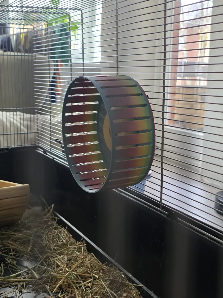 Hamster Wheel, photo 3 of 4 - Hamster Wheel Pets