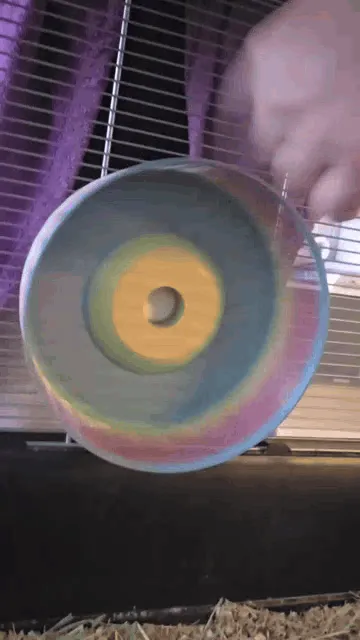 Hamster Wheel, photo 4 of 4 - Hamster Wheel Pets