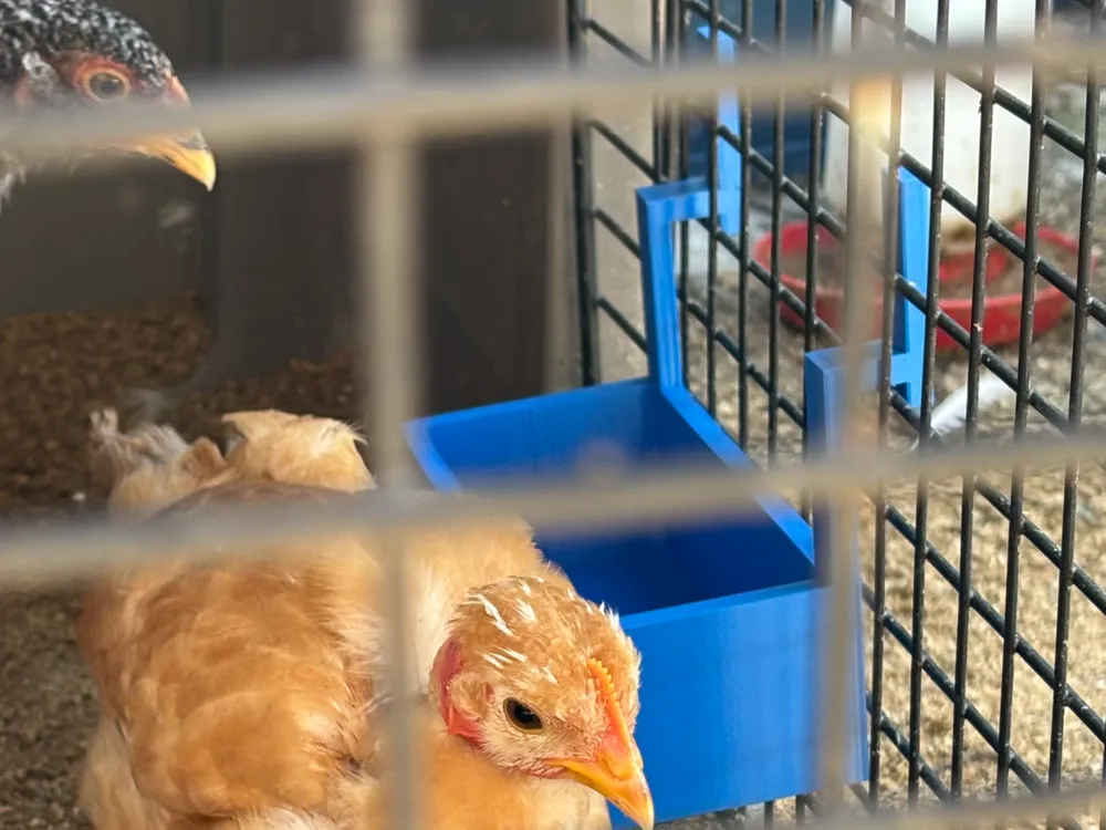 Hanging Animal Feeder and Waterer