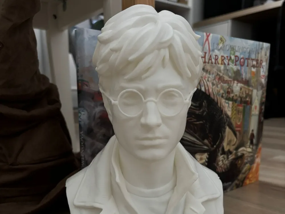 Harry Potter Buste, photo 4 of 4 - Harry Potter Buste Generative Art