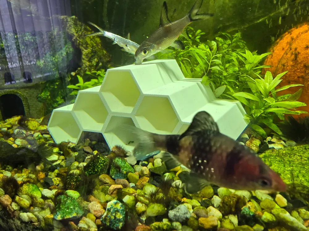 HoneyComb Cave for Aquarium / fishtank v2, photo 3 of 4 - HoneyComb Cave for Aquarium / fishtank v2 Pets