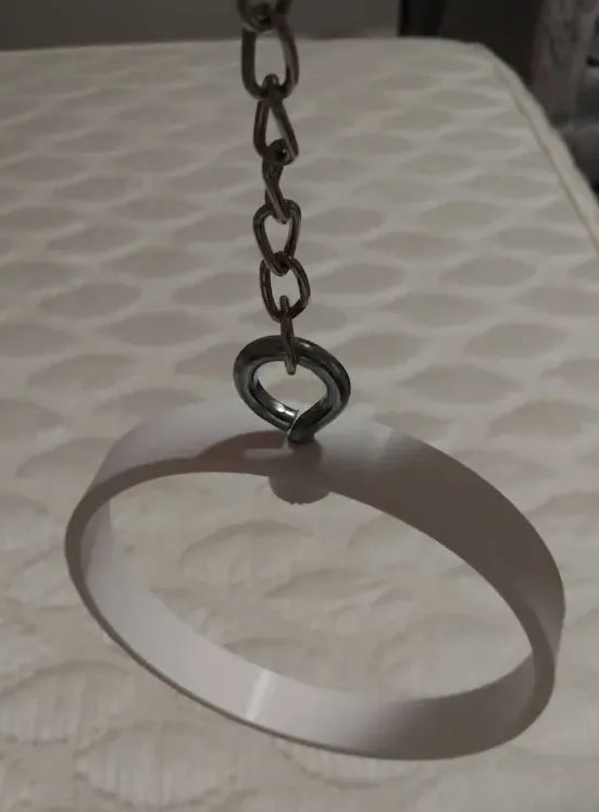 Hoopy Bird, circular swing toy, photo 2 of 4 - Bird Toys, Perches & Swings, pets