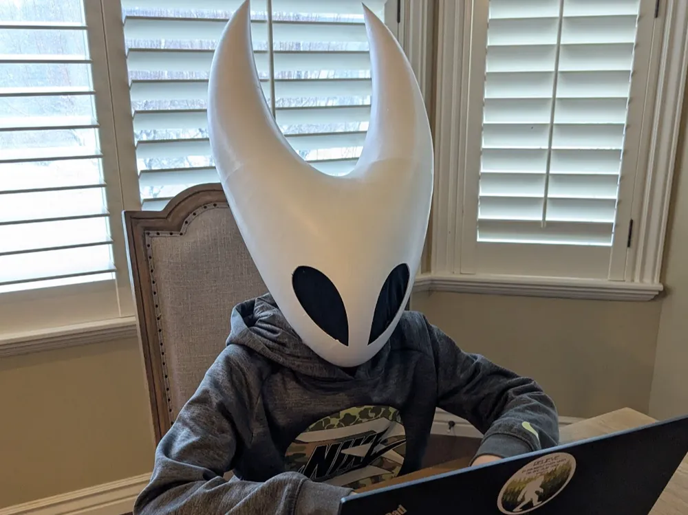 Hornet Mask (Hollow Knight) (Teen/Child Sized)