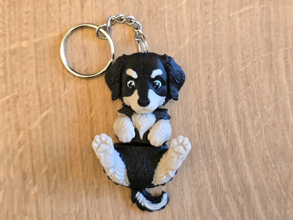 Hovawart dog flexi keychain, photo 3 of 4 - Hovawart dog flexi keychain Miniatures