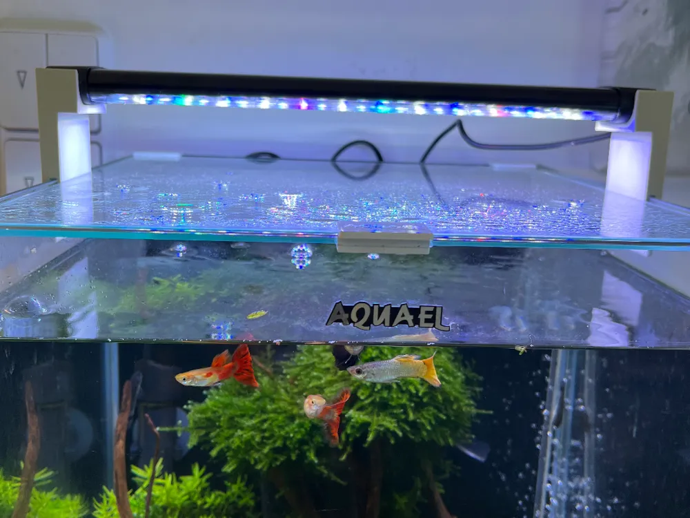 Hygger Aquarium Light Holder