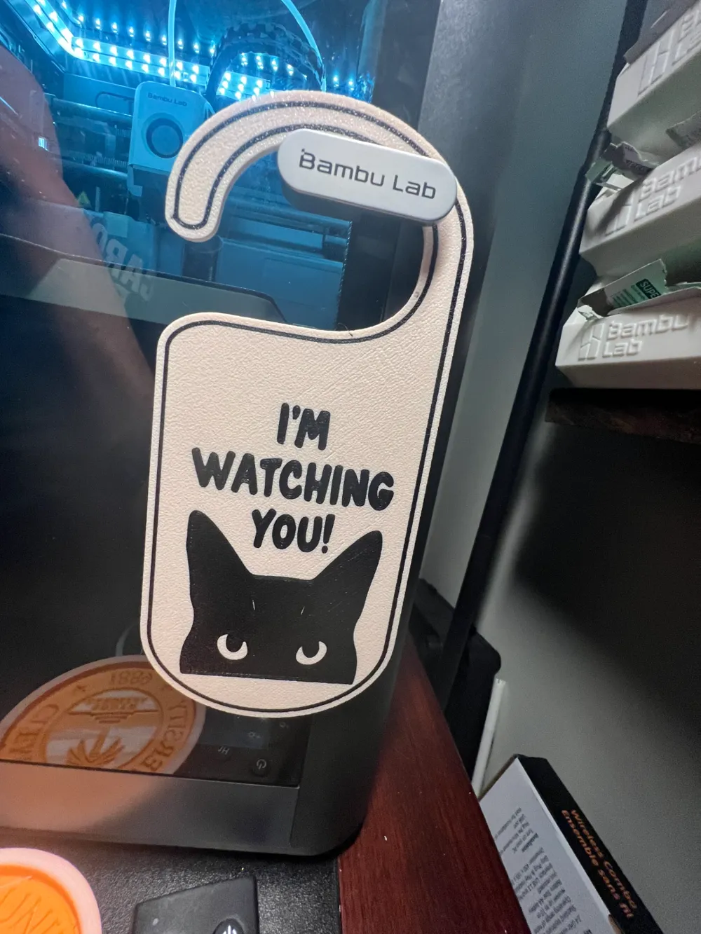 I'M WATCHING YOU CAT DOOR HANGER, photo 3 of 4 - I'M WATCHING YOU CAT DOOR HANGER Pets