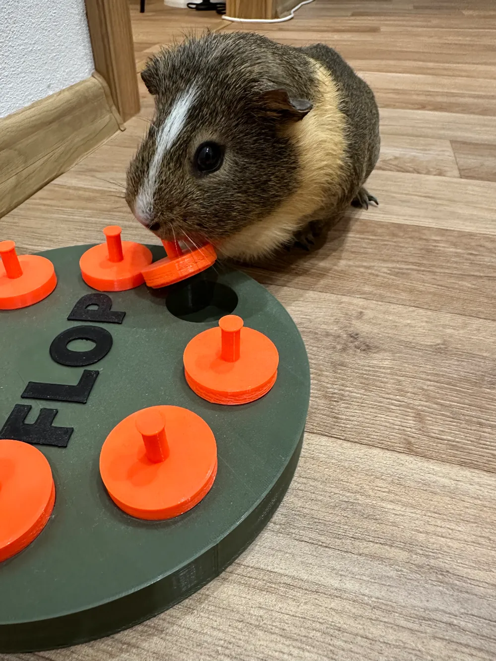 Interactive feeding toy - guinea pig, rabbit,, photo 3 of 4 - Interactive feeding toy - guinea pig, rabbit, Pets