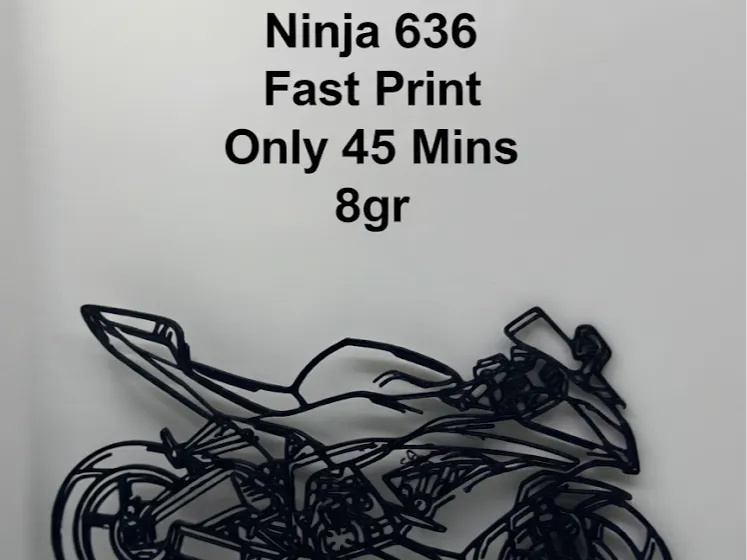 Kawasaki Ninja 636 Silhouette