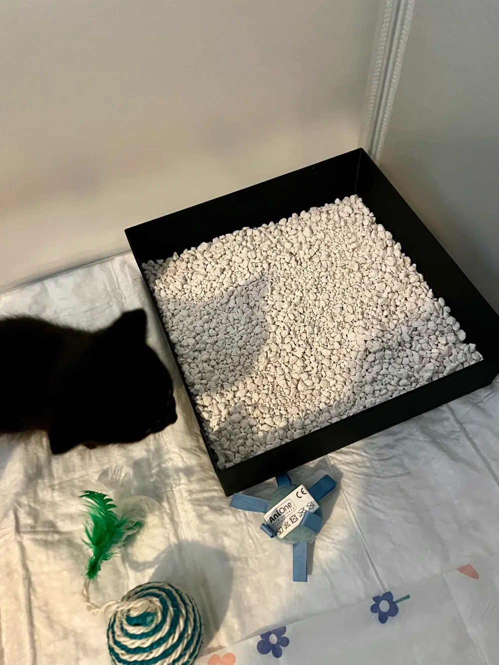 Kitten litter box, another view - Litter Box Accessories, cat litter
