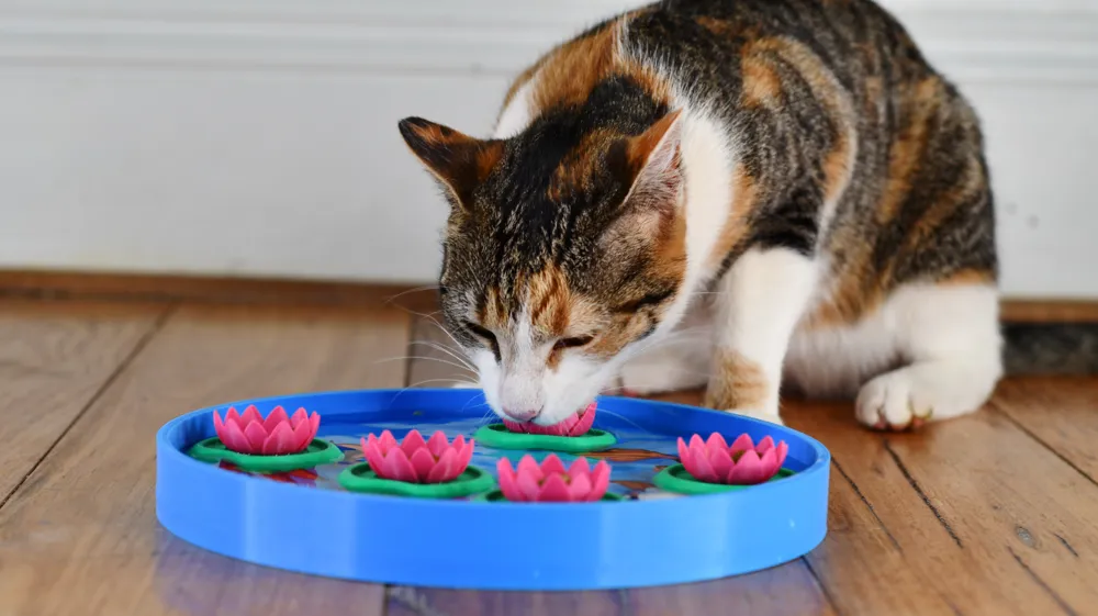 koi Pond Treat Puzzle, photo 3 of 4 - koi Pond Treat Puzzle Pets