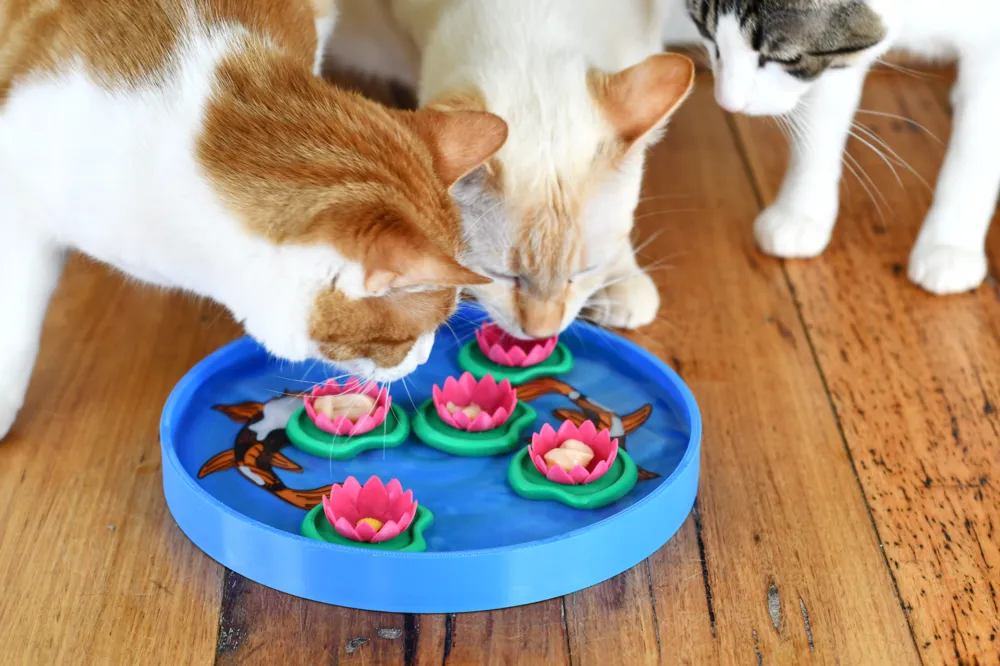 koi Pond Treat Puzzle, photo 4 of 4 - koi Pond Treat Puzzle Pets