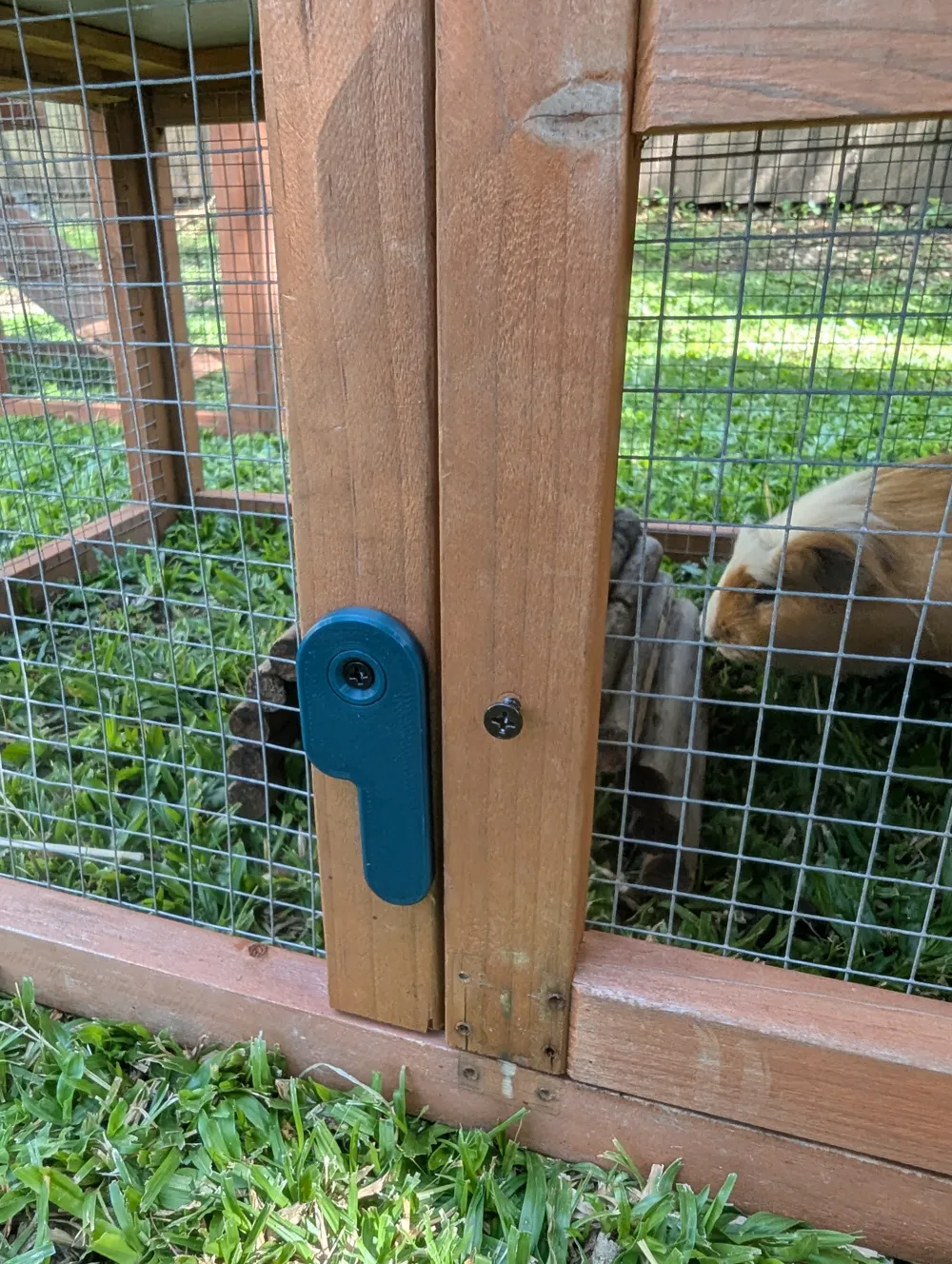 Latch for guinea pig / pet hutch door, photo 4 of 4 - Latch for guinea pig / pet hutch door Pets