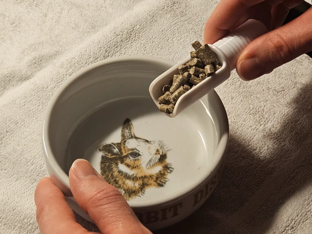 Little Scoop, about ~1 tbs - Litter Box Accessories, in stock