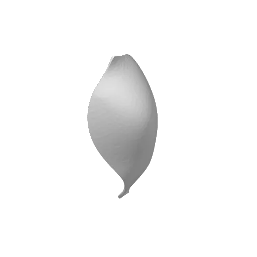 Lotus Petal, another view - Forks, Spoons & Cutlery, Lotus Flower