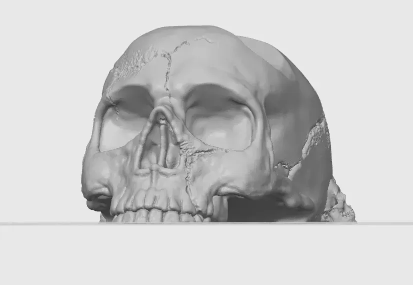 Glowing Skull Ornament, photo 4 of 4 - Skulls & Skeletons, Ornaments