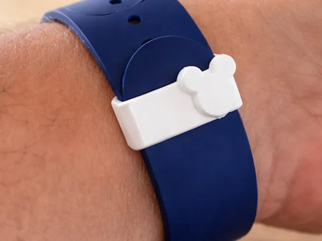Magic Band Latch - Low Profile
