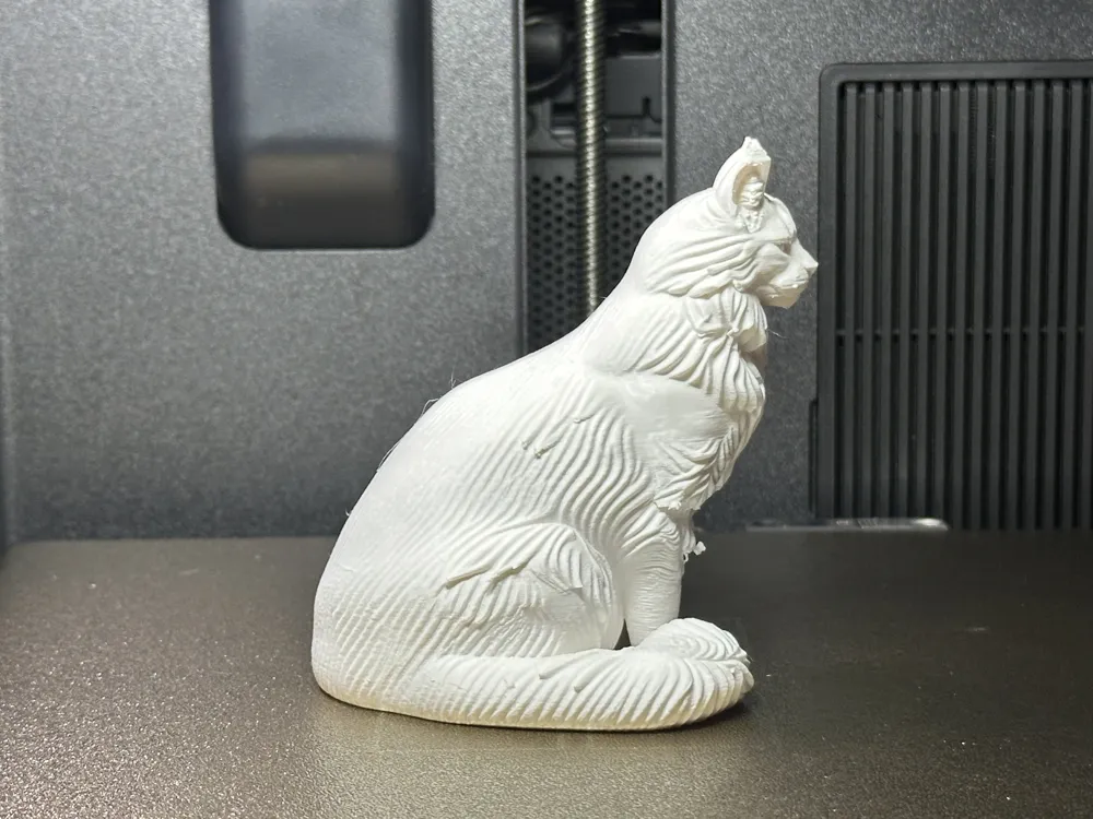 Maine Coon Cat Figure, High Detail, photo 3 of 4 - Maine Coon Cat Figure, High Detail Art