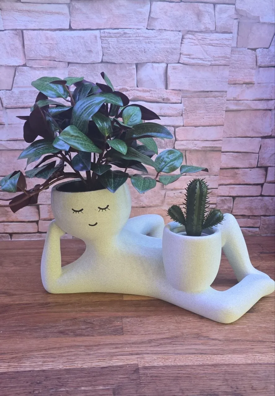 Male Flowerpot "Hair", photo 5 of 5 - Face & Character Planters, flower pot