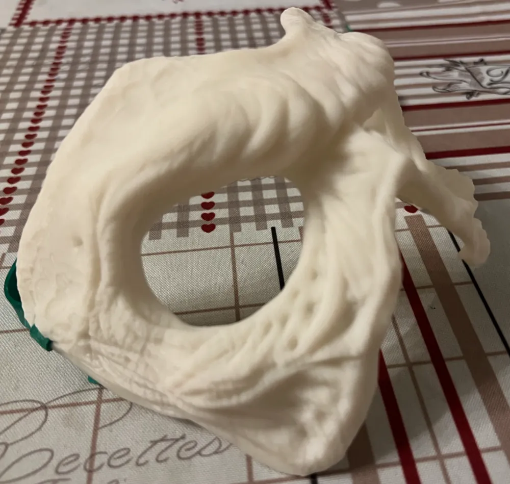 Mask