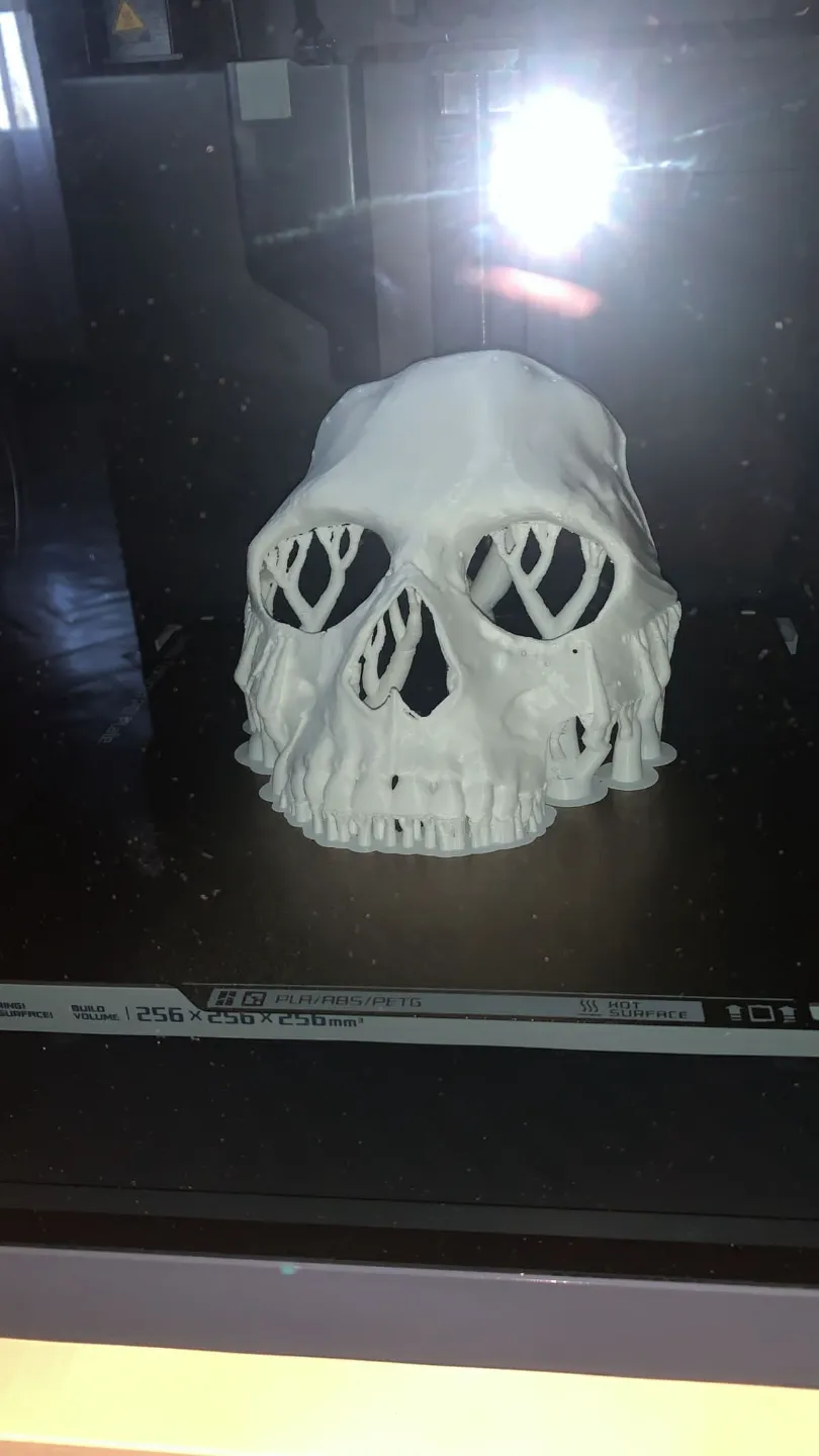 Mask Ghost warzone