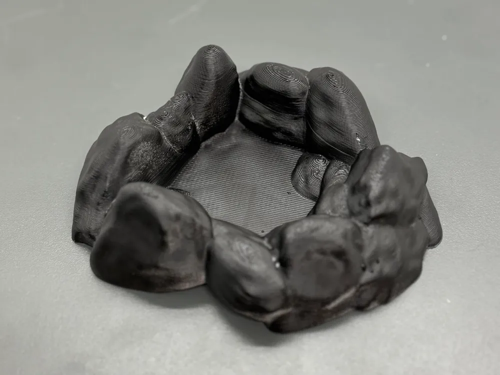 Meal Reptile Dish