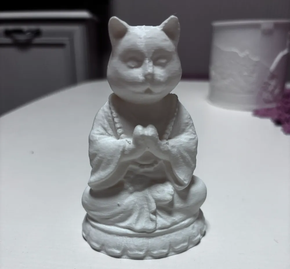 Meditating cat, photo 3 of 4 - Meditating cat Household