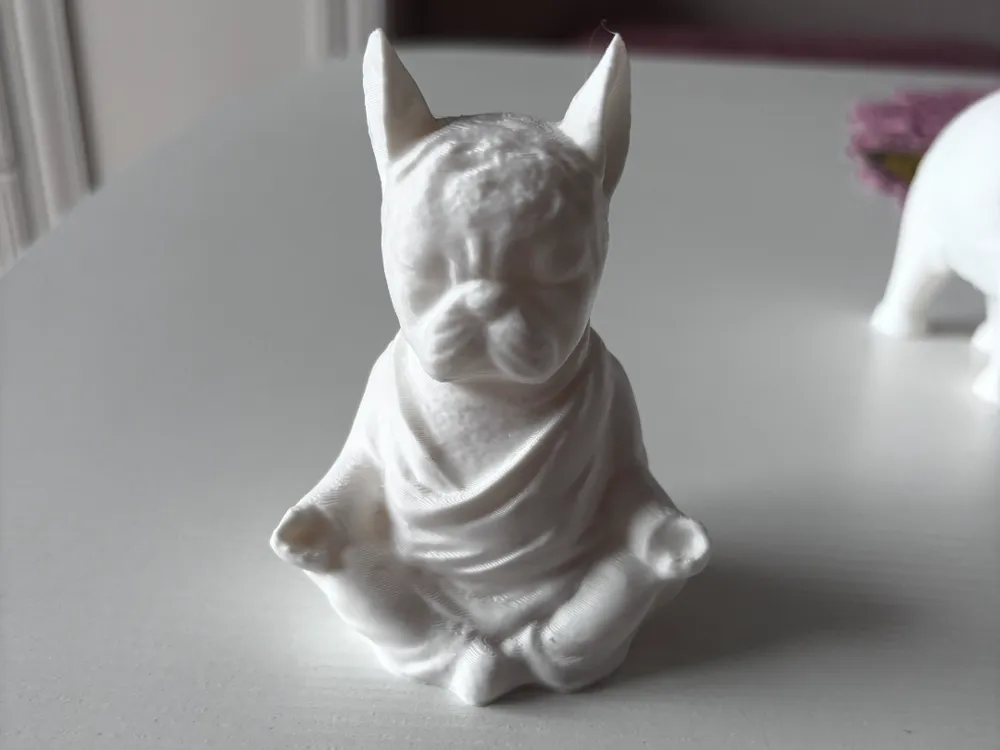 Meditating dog, photo 3 of 4 - Meditating dog Art