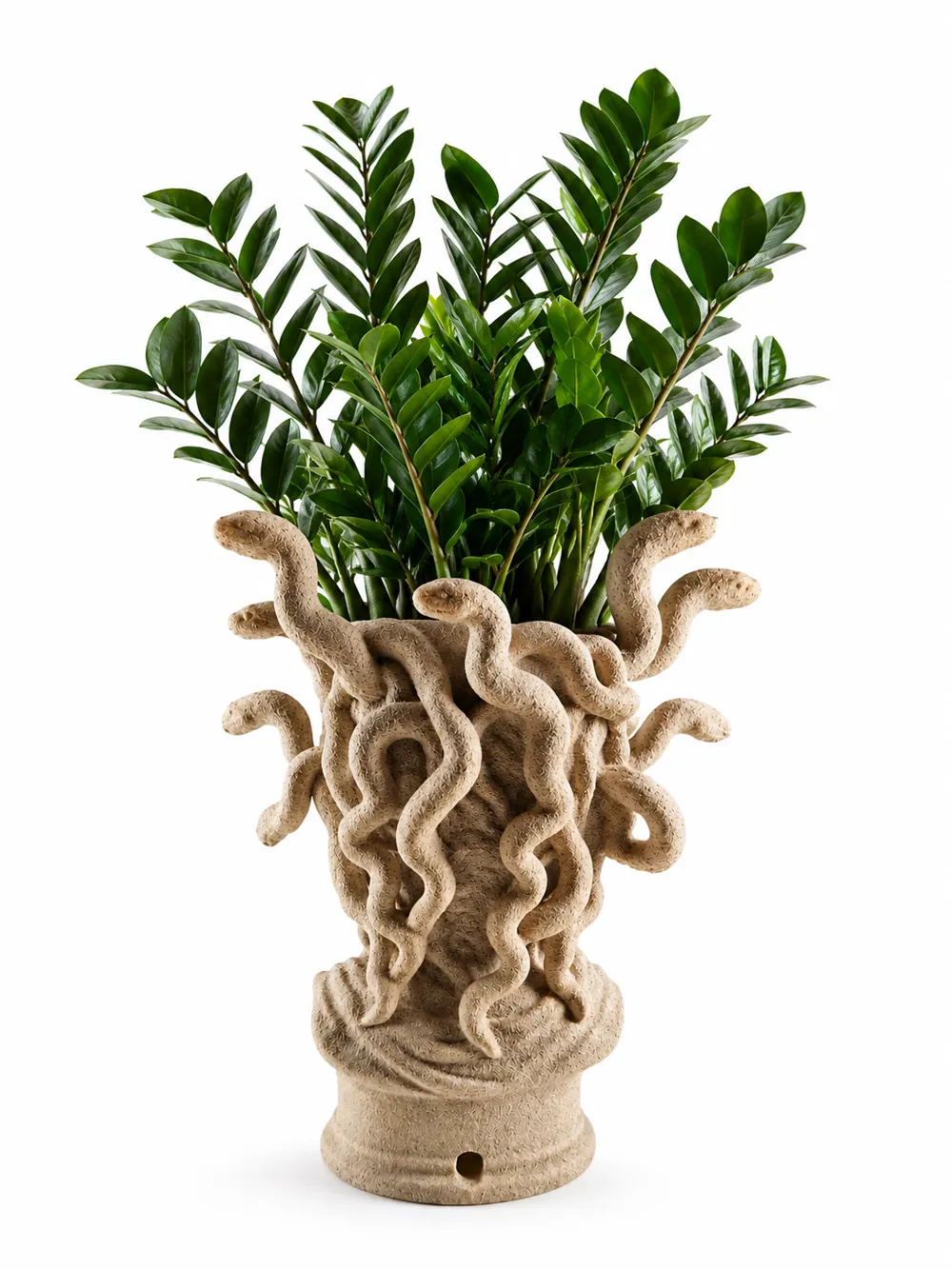 Medusa Bust Sculpture Planter 2.0, photo 2 of 5 - Face & Character Planters, medusa art