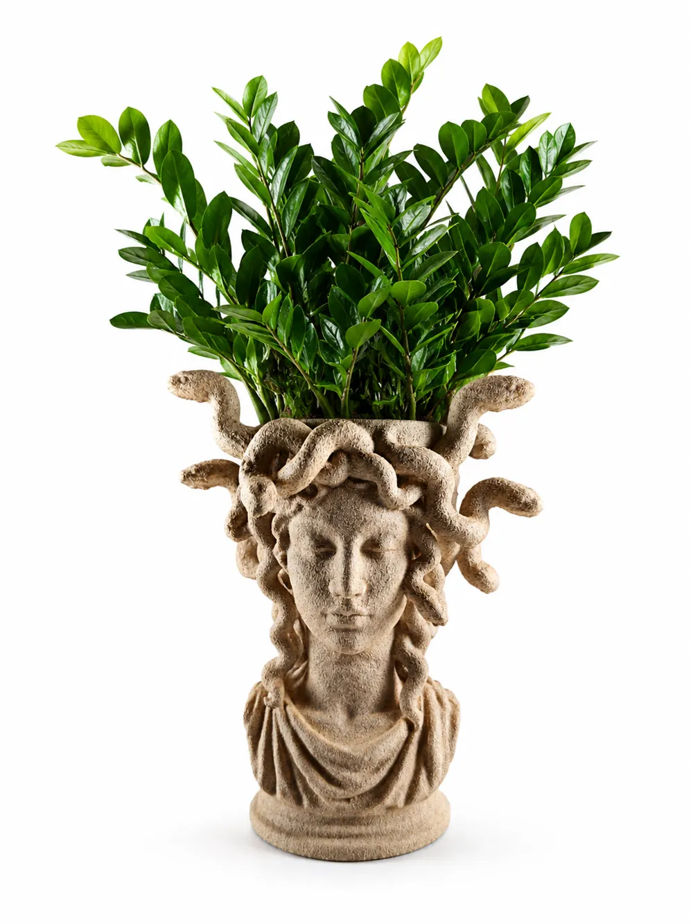Medusa Bust Sculpture Planter 2.0, photo 3 of 5 - Face & Character Planters, medusa snake