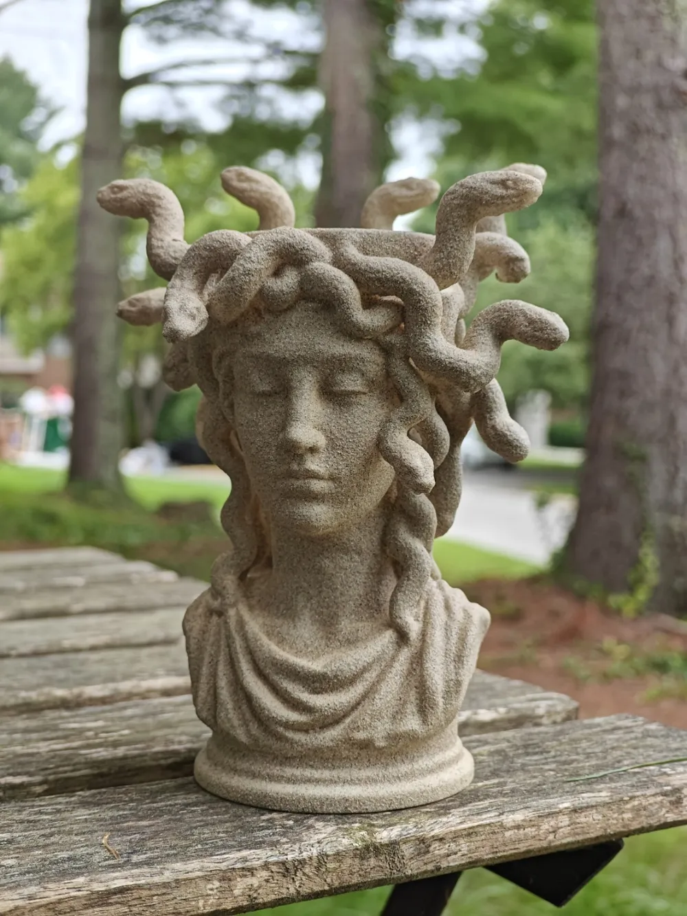 Medusa Bust Sculpture Planter 2.0, photo 4 of 5 - Face & Character Planters, snake