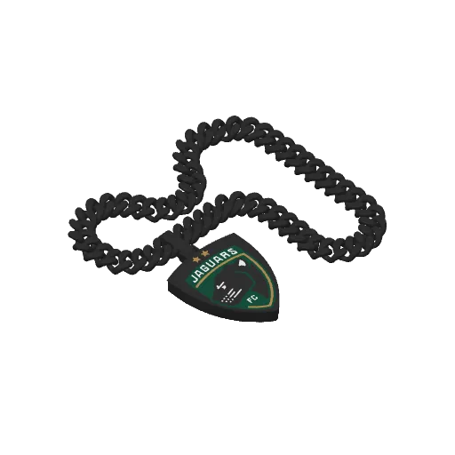 MI Jags Pendant on chain, photo 4 of 4 - MI Jags Pendant on chain Jewellery & Accessories