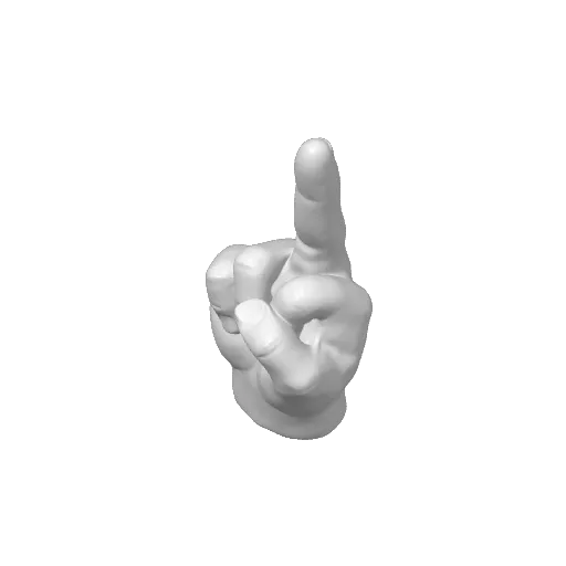 Middle Finger Keychain | Funny Hand Gesture, photo 4 of 4 - Middle Finger Keychain | Funny Hand Gesture Tools