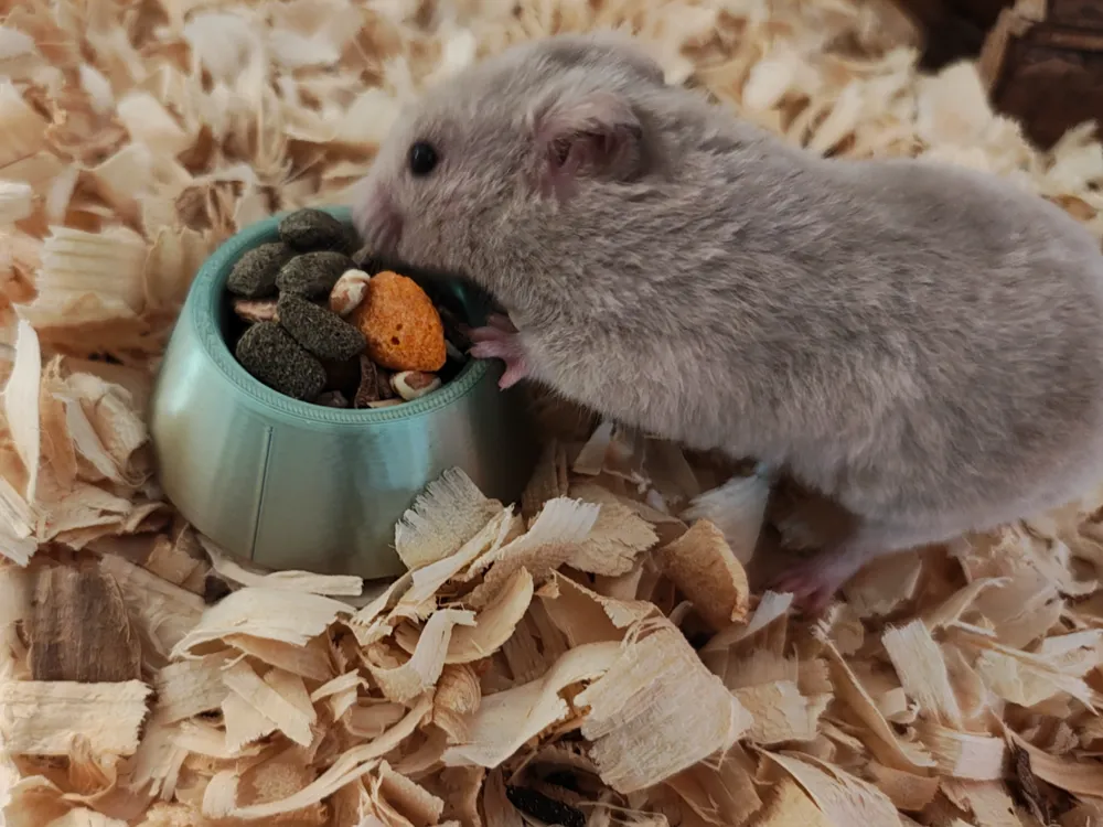 Mini Food Bowl for Small Animals
