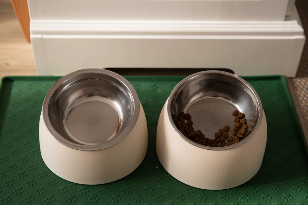 Minimalist Ergonomic Cat Bowl Stand, photo 2 of 4 - Cat Bowls & Feeders, pet
