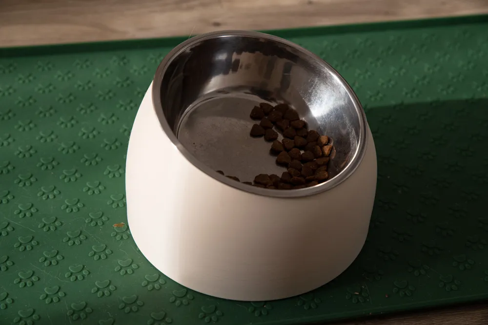Minimalist Ergonomic Cat Bowl Stand, another view - Cat Bowls & Feeders, cats
