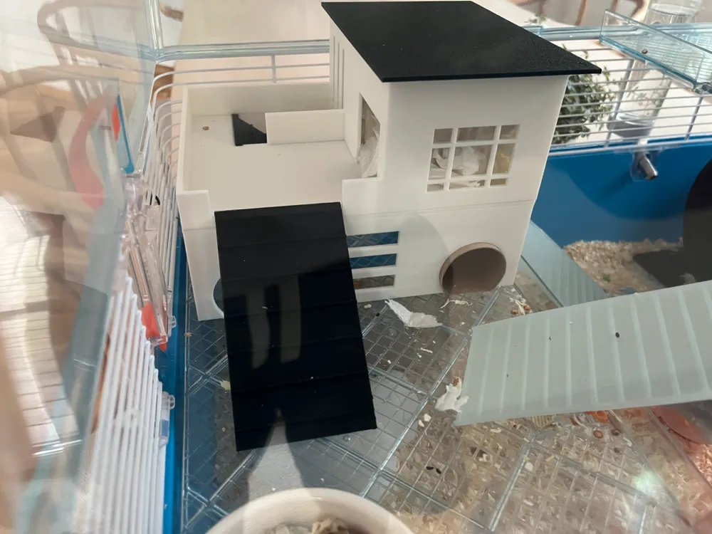 Modern Hamster House, photo 3 of 4 - Modern Hamster House Pets