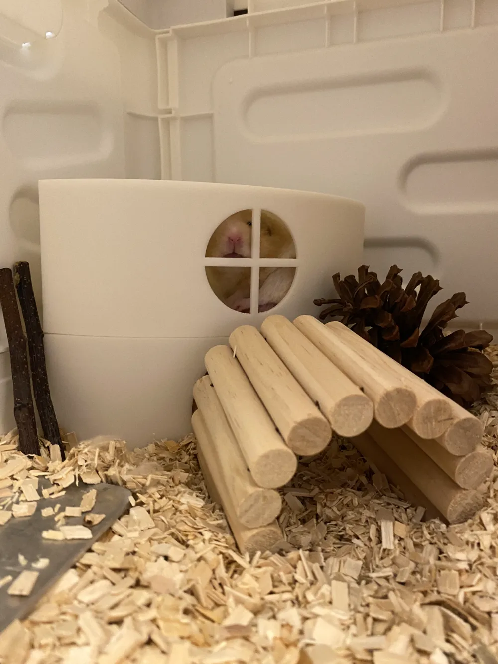 Modular hamster house