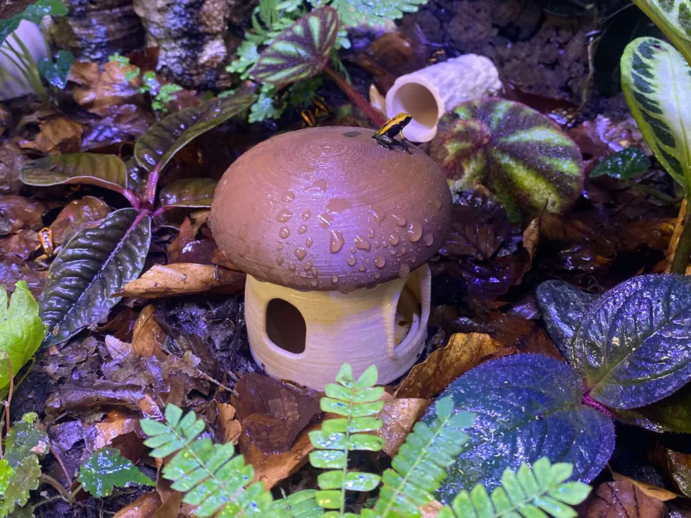 Mushroom Hideout