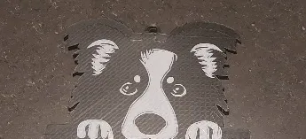 Nameplate Border Collie, photo 3 of 4 - Nameplate Border Collie Home Decor Items