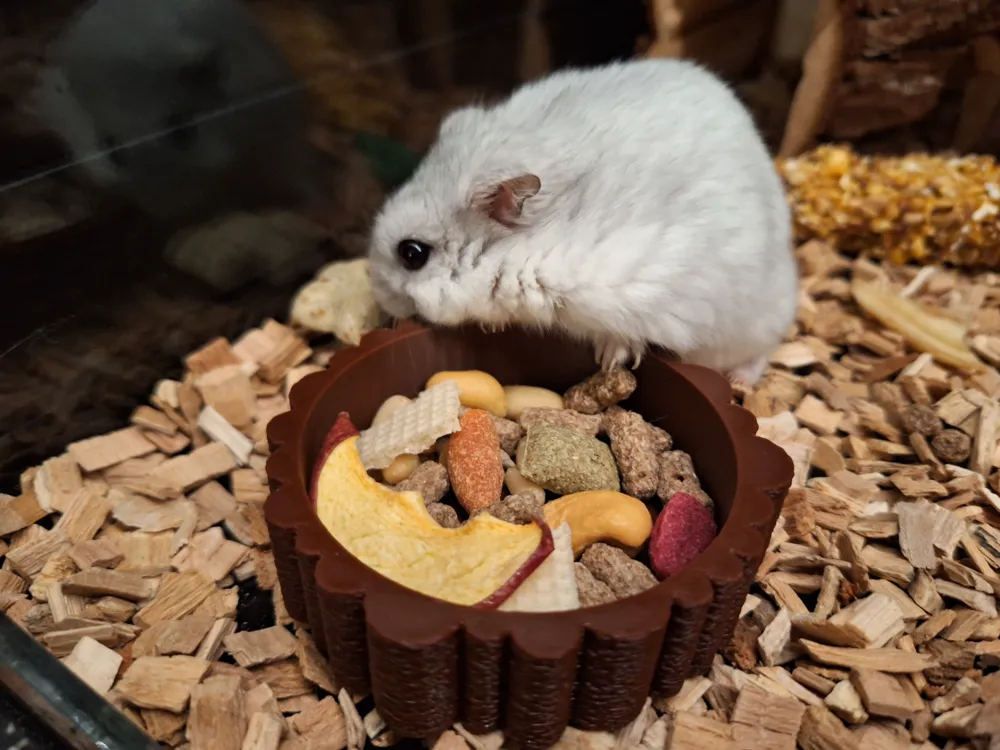 "Natural looking" food bowl for hamster