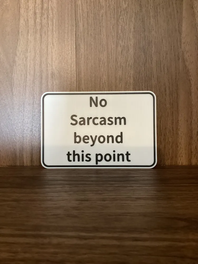 No Sarcasm Sign, photo 2 of 4 - No Sarcasm Sign Art
