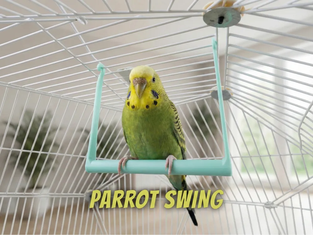 Parrot Swing - Cage Accessory