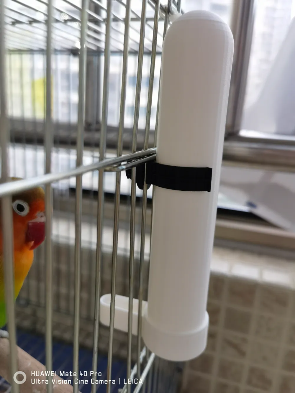 Parrot Automatic Water Dispenser, photo 3 of 4 - Bird Feeders, drink