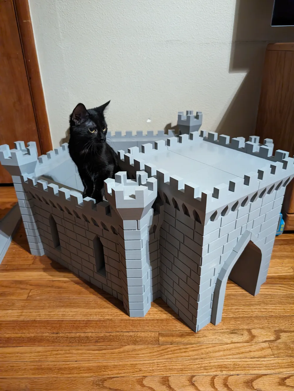 Pet Castle, photo 4 of 4 - Pet Castle Pets
